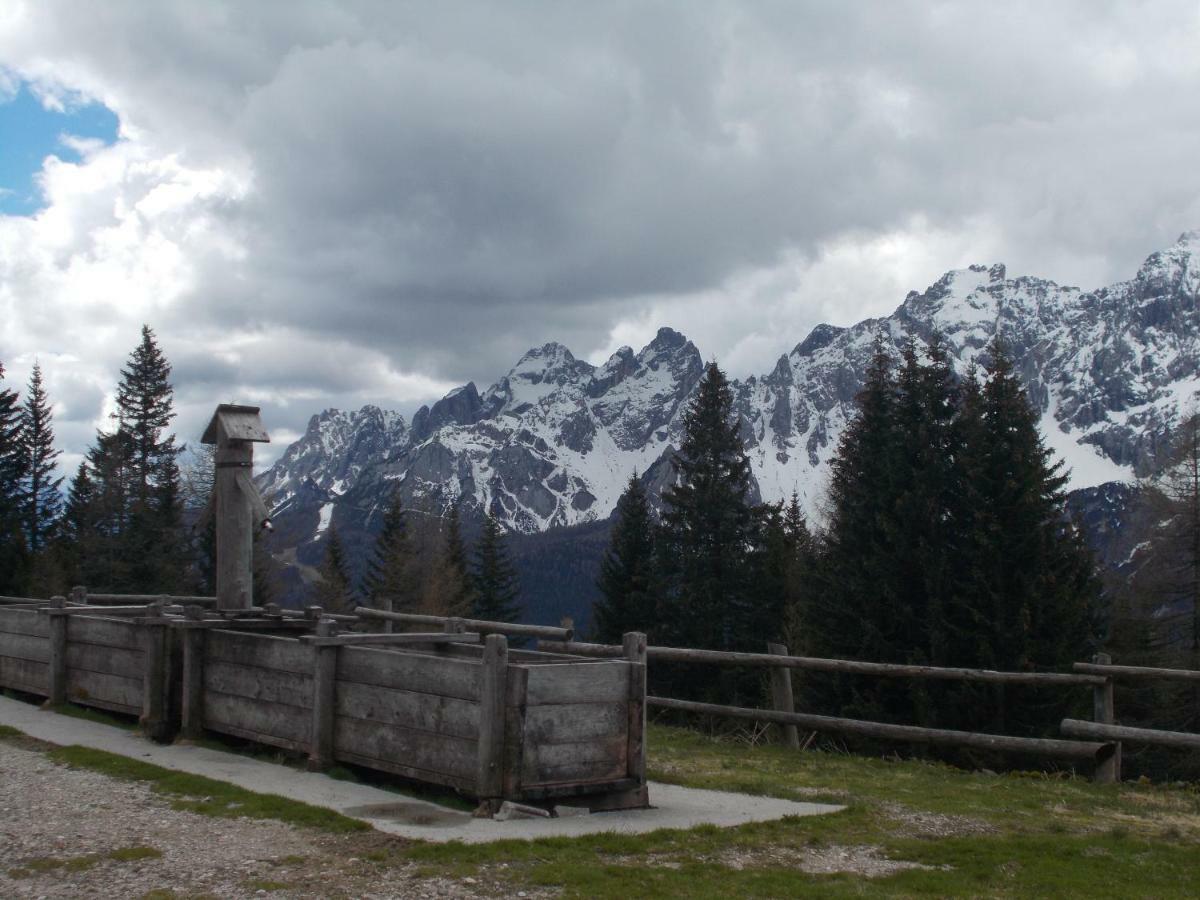 Balcone Sulle Dolomiti Apartment Comelico Superiore Exterior photo